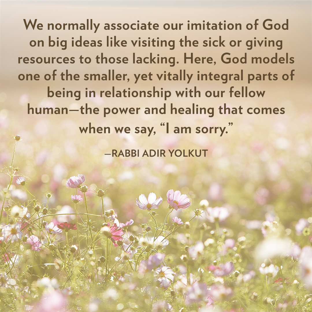 Shabbat at WJC ~ July 6th-7th