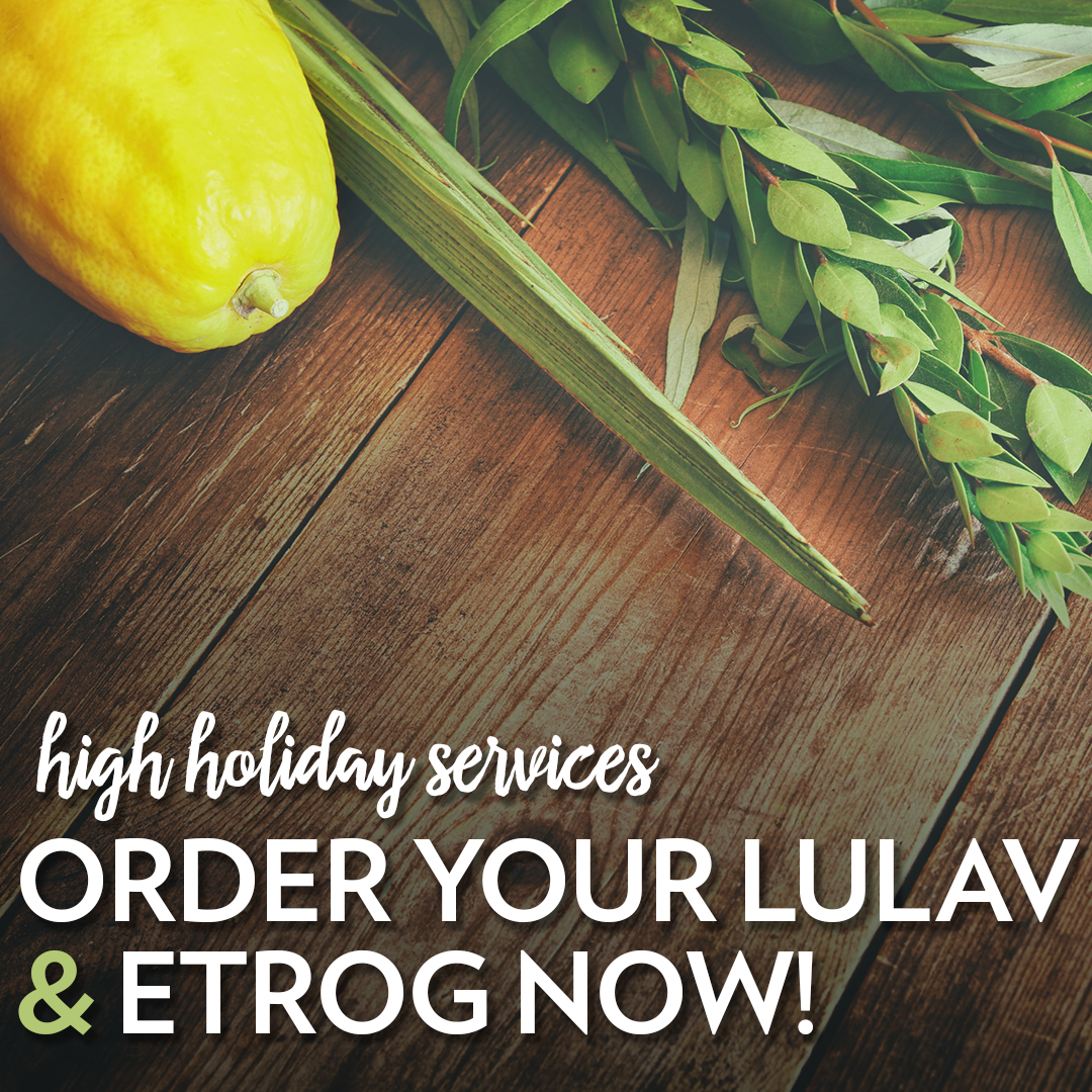 Order your Lulav and Etrog
