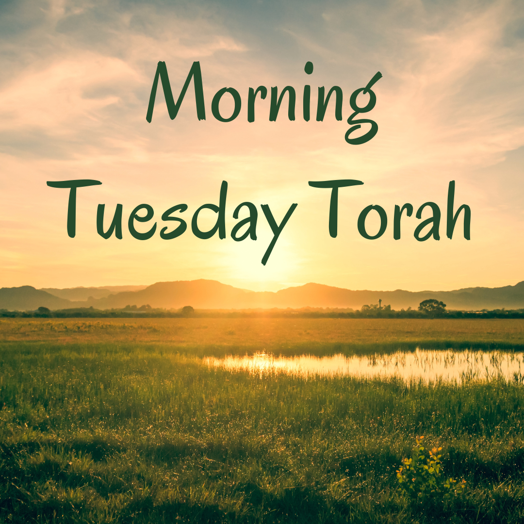 Morning Tuesday Torah