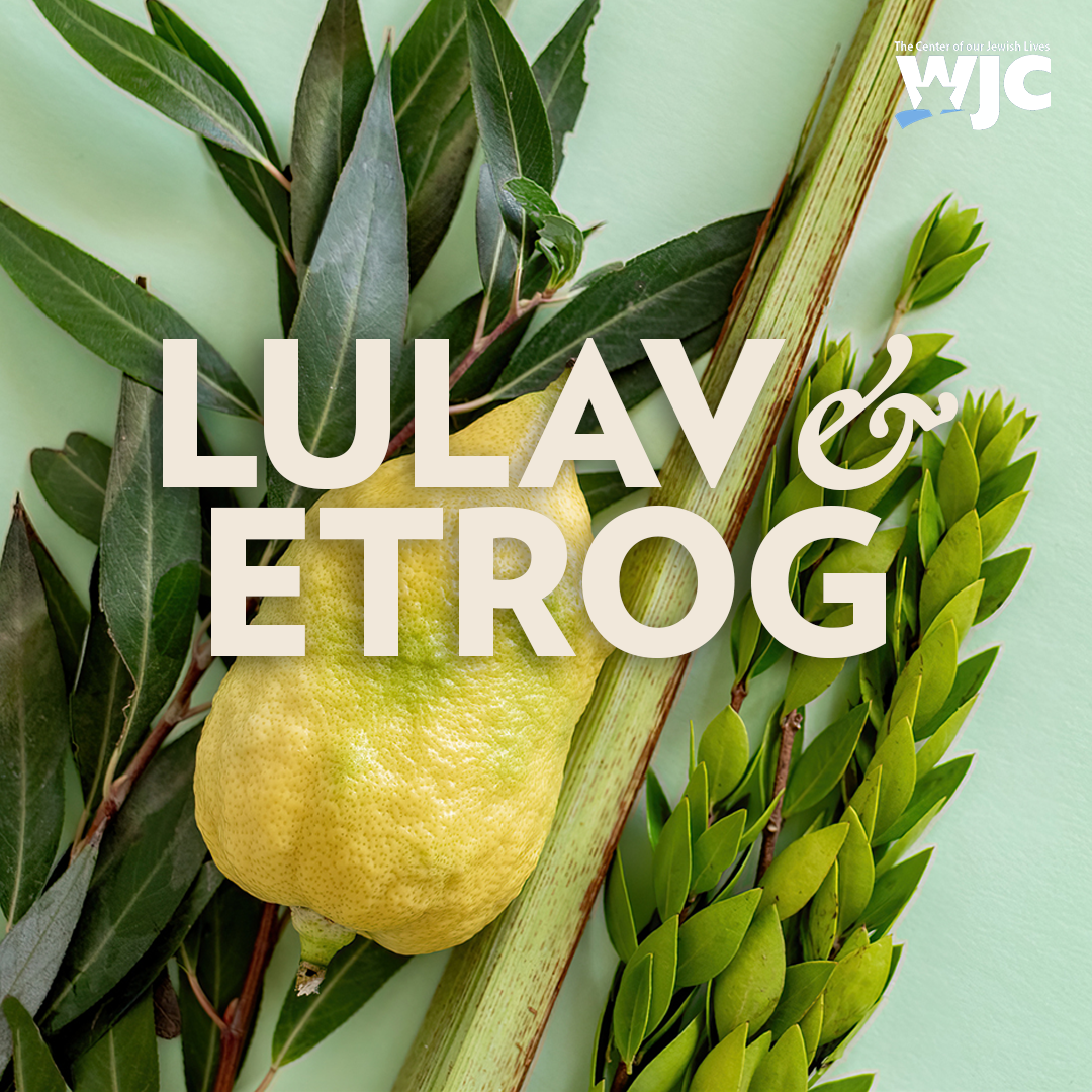 Order Lulav & Etrog